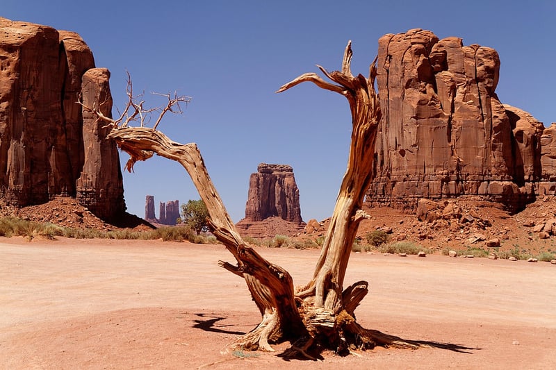 Wild West Exploration